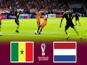 Nhận định kèo châu Á Senegal vs Hà Lan, 23h ngày 21/11